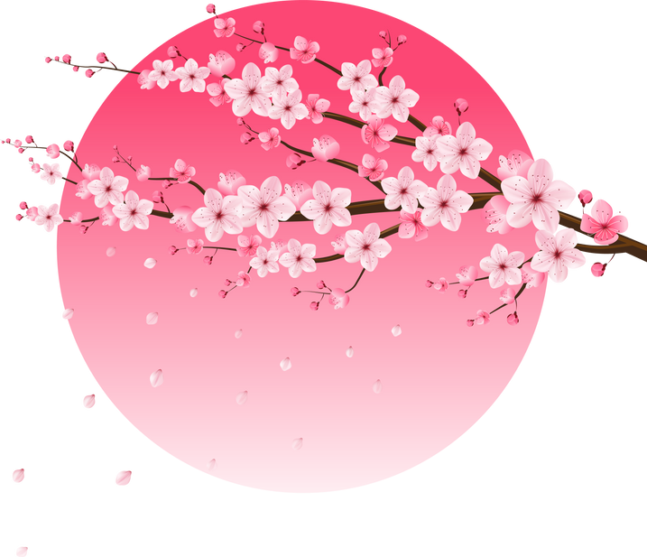 Sakura Cherry Blossom